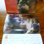 Masarang Calendar 2012