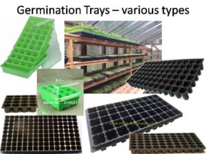 germination-trays