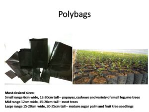 polly-bags
