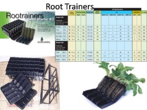 root-trainers