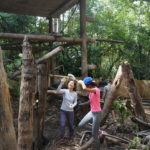 giving-enrichments-to-the-sunbears