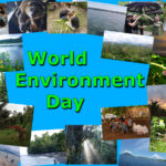 world_environment_day